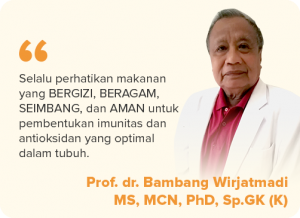 Prof. dr. Bambang Wirjatmadi MS, MCN, PhD, Sp.Gk (K)