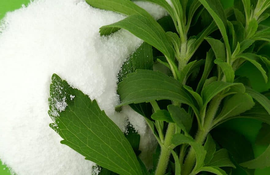 Stevia, Pemanis Alami untuk Mengurangi Asupan Gula
